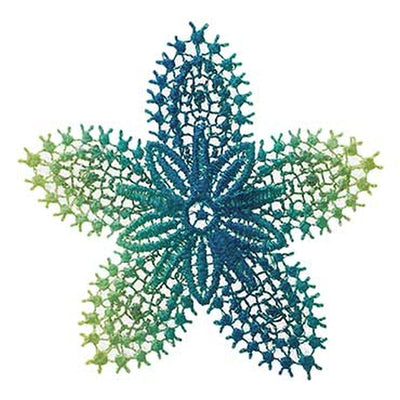 Applique flower gradient lace